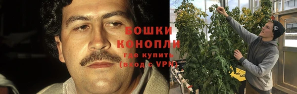 скорость Бородино