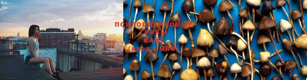 марки lsd Бугульма