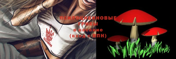 ALPHA PVP Верхний Тагил