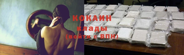 амф Бронницы