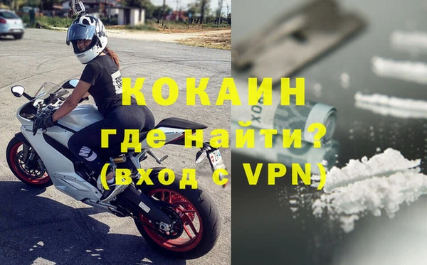 прущие грибы Волоколамск