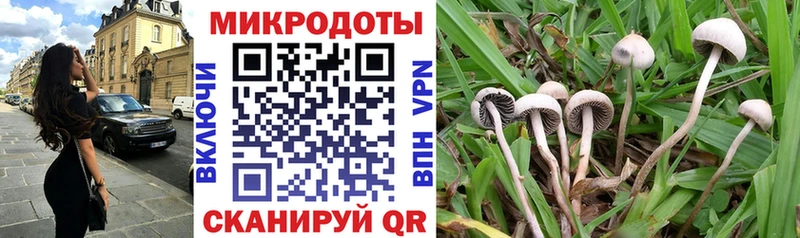 Псилоцибиновые грибы Psilocybine cubensis  мега вход  Заозёрный 
